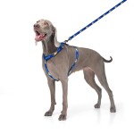 WAUDOG Nylon Поводок для собак нейлоновый рисунок "Флаг"