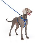 WAUDOG Nylon Поводок для собак нейлоновый рисунок "Флаг"
