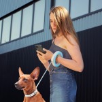 WAUDOG R-leash Повідець-рулетка для собак, кругла, світловідбивна стрічка, блакитний