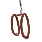 CoLLar Шлея с поводком для мелких собак, коричневая