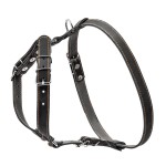 CoLLar Шлей одинарний для дрібних і середніх собак, чорний