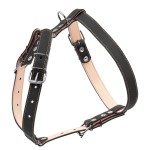 CoLLar Шлей подвійний, чорний