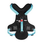 WAUDOG Nylon Шлея для собак безопасная c QR паспортом, металлическая пряжка-фастекс, голубая WAUDOG Nylon Шлея для собак безопасная c QR паспортом, металлическая пряжка-фастекс, голубая