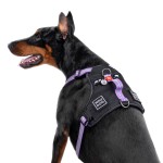 WAUDOG Nylon Шлея для собак безопасная c QR паспортом, металлическая пряжка-фастекс, фиолетовая