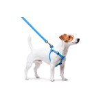 WAUDOG Waterproof Шлей для собак водостійкий з QR-паспортом, металева пряжка-фастекс, блакитна