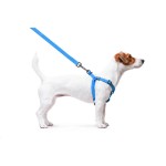 WAUDOG Waterproof Шлей для собак водостійкий з QR-паспортом, металева пряжка-фастекс, блакитна