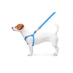 WAUDOG Waterproof Шлей для собак водостійкий з QR-паспортом, металева пряжка-фастекс, блакитна