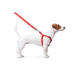 WAUDOG Waterproof Шлея для собак водостойкая с QR-паспортом, металлическая пряжка-фастекс, красная WAUDOG Waterproof Шлея для собак водостойкая с QR-паспортом, металлическая пряжка-фастекс, красная