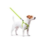 WAUDOG Waterproof Шлея для собак водостойкая с QR-паспортом, металлическая пряжка-фастекс, салатовая WAUDOG Waterproof Шлея для собак водостойкая с QR-паспортом, металлическая пряжка-фастекс, салатовая