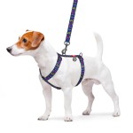 WAUDOG Nylon Шлея для собак анатомическая H-образная с QR-паспортом, рисунок "Инди", пластиковый фастекс,S