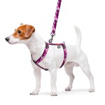 WAUDOG Nylon Шлея для собак анатомическая H-образная с QR-паспортом, рисунок "Розовый камо", пластиковый фастекс