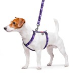 WAUDOG Nylon Шлея для собак анатомическая H-образная с QR-паспортом, рисунок "Фиолетовый камо", пластиковый фастекс