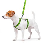 WAUDOG Nylon Шлея для собак анатомическая H-образная с QR-паспортом, рисунок "Авокадо", пластиковый фастекс