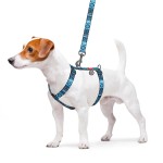 WAUDOG Nylon Шлея для собак анатомическая H-образная с QR-паспортом, рисунок "Этно синий", пластиковый фастекс