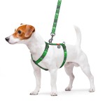 WAUDOG Nylon Шлея для собак анатомическая H-образная с QR-паспортом, рисунок "Этно зеленый", пластиковый фастекс