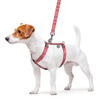 WAUDOG Nylon Шлея для собак анатомическая H-образная с QR-паспортом, рисунок "Этно красный", пластиковый фастекс