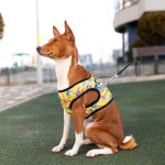 WAUDOG Clothes Шлея для собак мягкая c QR-паспортом, рисунок "Рик и Морти 3"