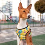 WAUDOG Clothes Шлей для собак м'який з QR-паспортом, малюнок "Рік і Морті 3"