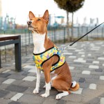 WAUDOG Clothes Шлей для собак м'який з QR-паспортом, малюнок "Рік і Морті 3"