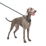 WAUDOG Nylon Шлея для собак анатомическая H-образная с QR-паспортом, рисунок "Калина", пластиковый фастекс