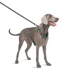 WAUDOG Nylon Шлей для собак анатомічний H-подібний з QR-паспортом, малюнок "Калина", пластиковий фастекс