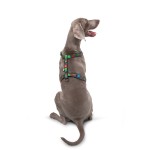 WAUDOG Nylon Шлея для собак анатомическая H-образная с QR-паспортом, рисунок "Калина", пластиковый фастекс