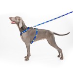 WAUDOG Nylon Шлея для собак анатомическая H-образная с QR-паспортом, рисунок "Флаг", пластиковый фастекс