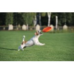 PitchDog Летающий диск для собак, оранжевый