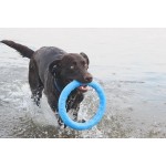 PitchDog Кольцо игрушка для собак, голубой