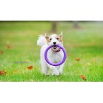Puller MINI - снаряд для тренировок для собак миниатюрных и некрупных средних пород собак