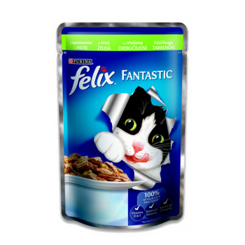 Felix Fantastic Кролик у желі