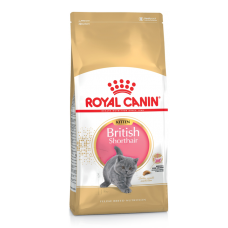 Royal Canin British Shorthair Kitten 