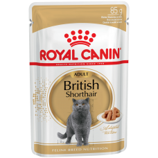 Royal Canin British Shorthair Adult у соусі