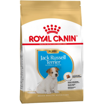 Royal Canin Jack Russell Terrier Puppy (Junior)