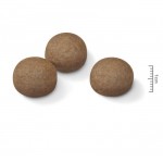 Royal Canin Maxi Digestive Care