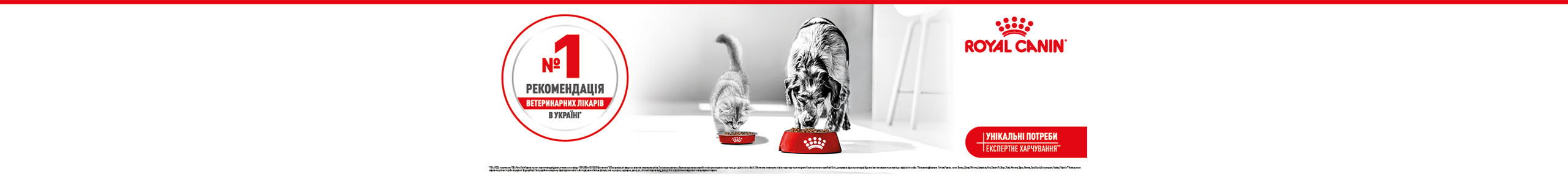 royalcanin_300h2560_02